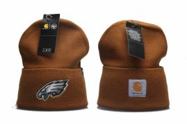 Picture of Nfl Beanies _SKUfw49916846fw